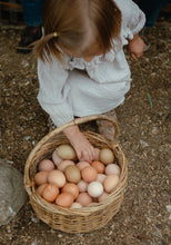 Load image into Gallery viewer, EGG DROP | Soy + Corn Free Eggs (1 dozen)
