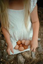 Load image into Gallery viewer, EGG DROP | Soy + Corn Free Eggs (1 dozen)

